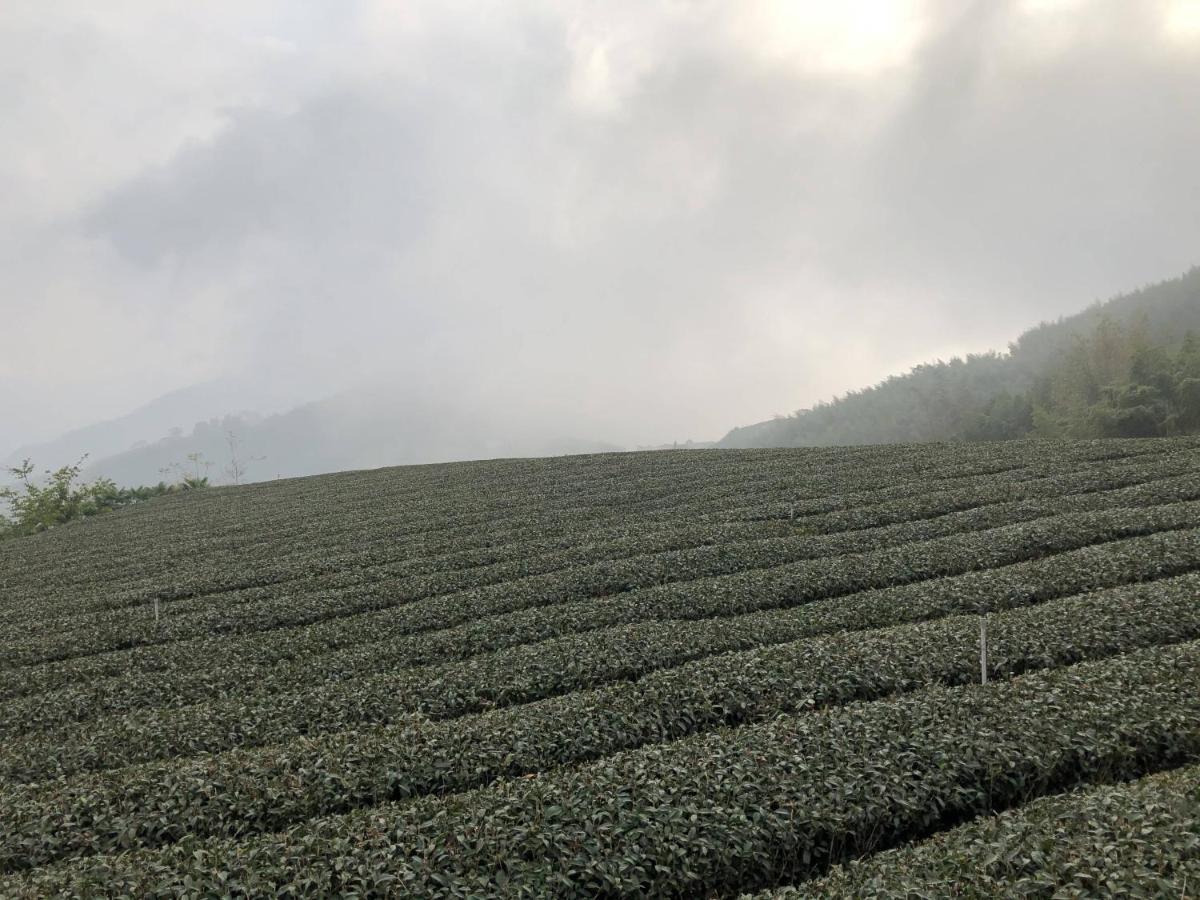 悟 佐茶 Satori Tea Leye Exterior foto